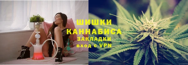 крисы Алзамай