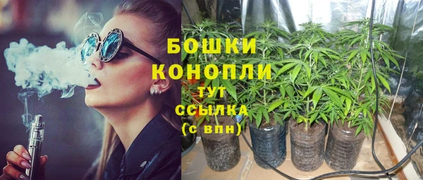 бошки Алексин