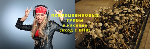 герыч Арсеньев