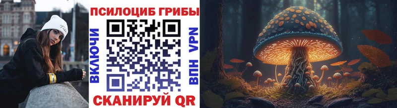 Галлюциногенные грибы Psilocybe Зверево